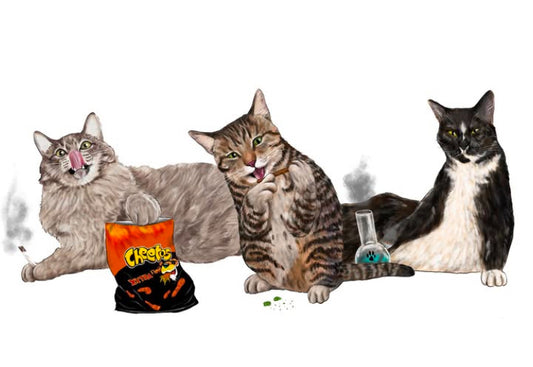 “Smoke Sesh” Preorder Print