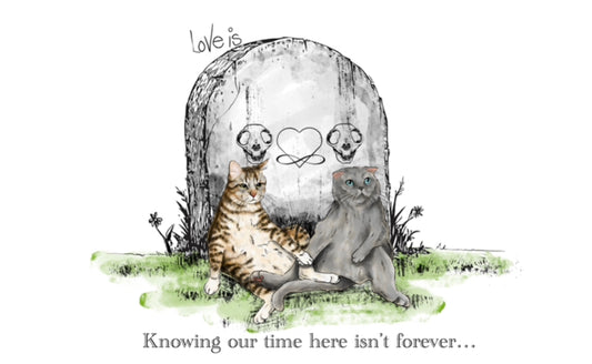 “Our Time Here Isn’t Forever” Preorder print